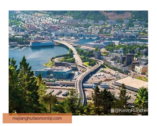 历卡苏尔姆3-4丹兹林根：探索这一独特地理区域的历史与文化魅力